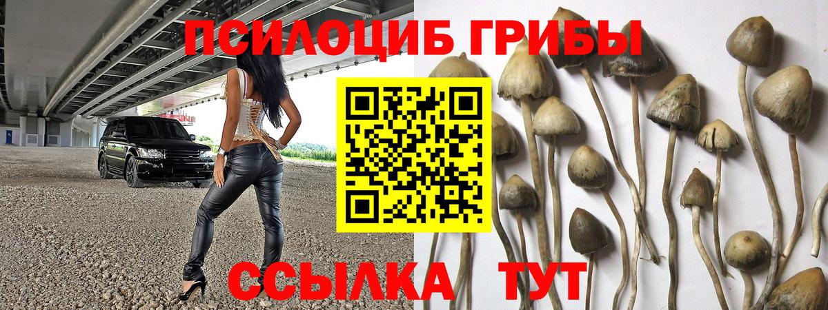 Мончегорск  Галлюциногенные грибы ЛСД  Галлюциногенные грибы ЛСД  Вход с VPN 